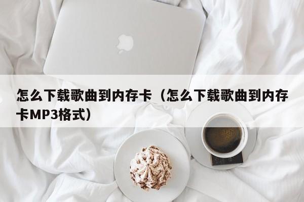 怎么下载歌曲到内存卡（怎么下载歌曲到内存卡MP3格式）